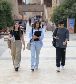 The American University in Cairo
