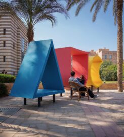 The American University in Cairo