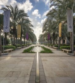 The American University in Cairo