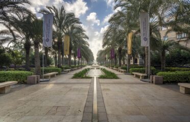 The American University in Cairo